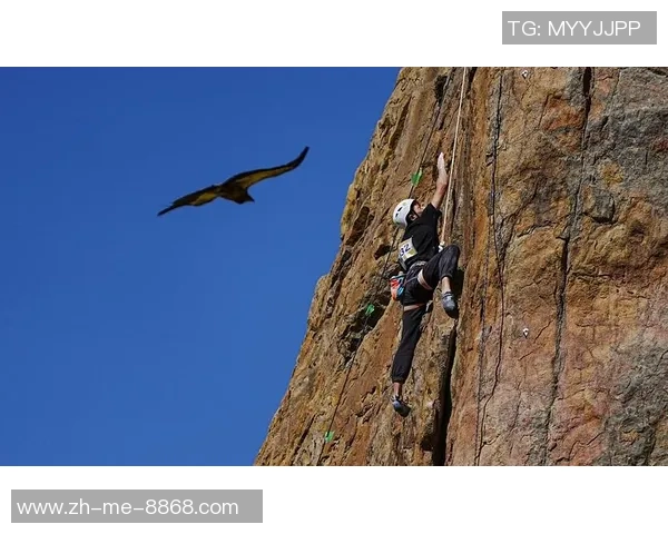 重庆攀岩队中路突破的成就与挑战分析